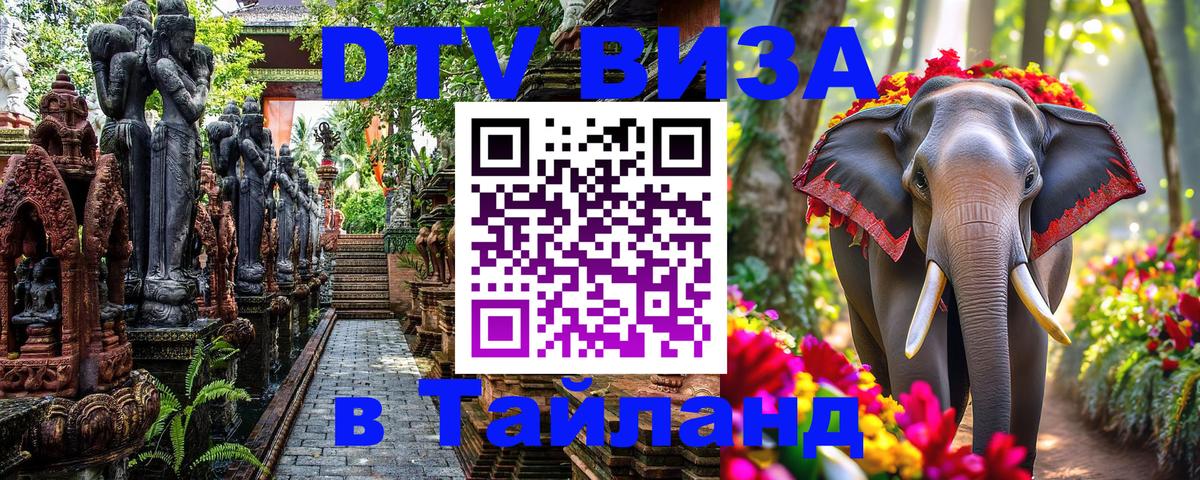 Оформление DTV визы под ключ: стоимость и тарифы, только загранпаспорт - 05.10.2025 